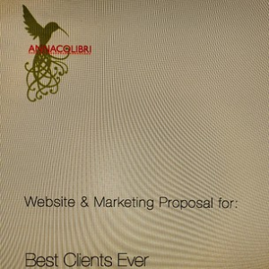 how to write a project proposal, ANNACOLIBRI, tech savvy marketing, web presence, web writing, internet publishing
