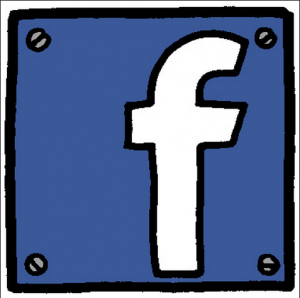 ANNACOLIBRI, Facebook for business, web presence, values-based marketing, tech savvy, internet publishing