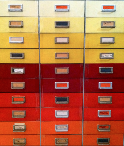 curated content, ANNACOLIBRI, web presence, tech savvy, online marketing